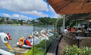 Dừng chèo thuyền, đạp vịt trên các hồ Đà Lạt Dừng chèo thuyền, đạp vịt trên các hồ Đà Lạt