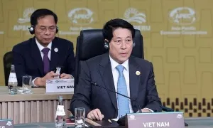 'Việt Nam đủ khả năng làm cầu nối giao thương và kết nối liên khu vực'