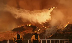 Ông Trump chỉ trích giới chức California 'bất tài' Ông Trump chỉ trích giới chức California 'bất tài'