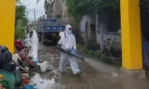 Bùn rác, xác gia súc ngổn ngang sau lũ tăng nguy cơ dịch bệnh